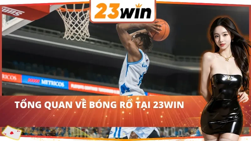 Những nét cơ bản về bóng rổ tại 23Win