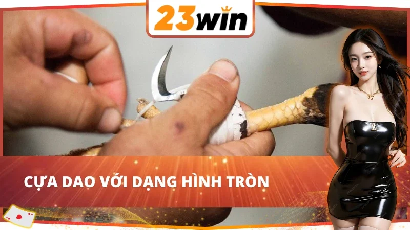 Đá Gà Cựa Dao 23WIN với dạng hình tròn