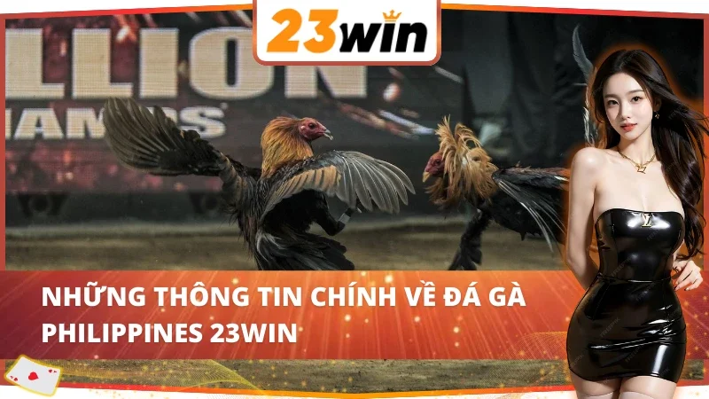 Tổng quan những điều thú vị về Đá Gà Philippines 23WIN