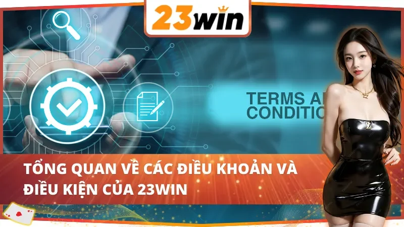 Tổng quan về các điều khoản và điều kiện 23Win