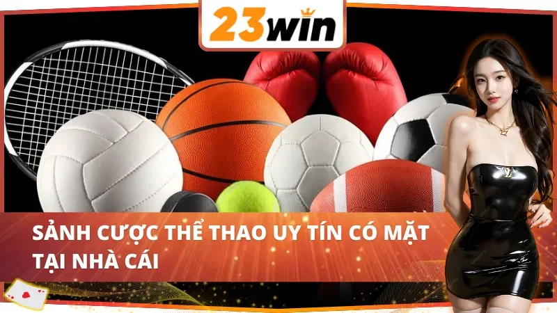 Top 3 nhà cung cấp chất lượng tại Thể Thao 23WIN