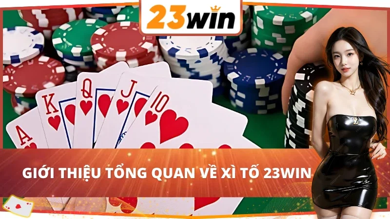 Giới thiệu tổng quan về game bài Xì Tố 23Win